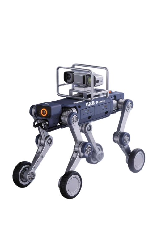 D2-W