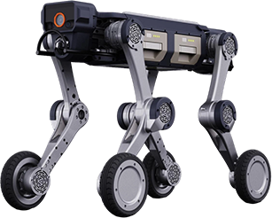 D2-W